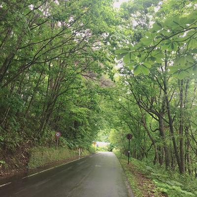 タバコ臭い喫煙所は嫌だからサウナに行こうさんのサ活一覧 1ページ目 サウナイキタイ