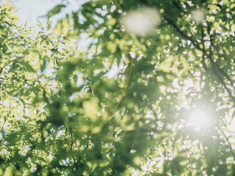 端海野自然森林公園キャンプ場 写真ギャラリー6