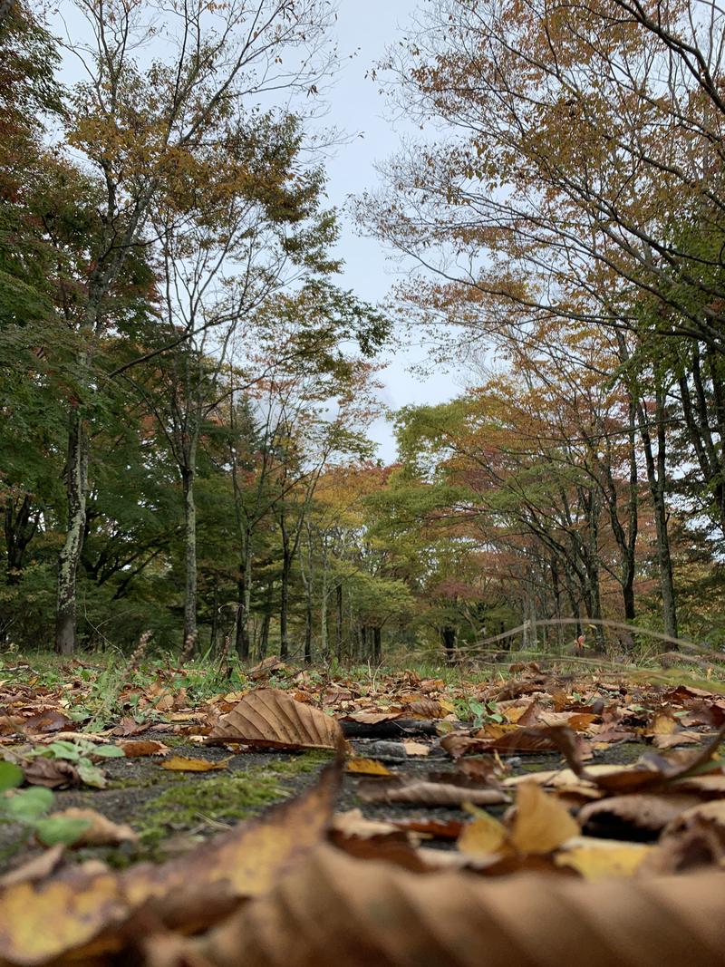 盆地住まいさんのむれ温泉 天狗の館のサ活写真