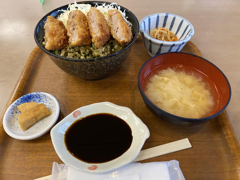 ぺんぎんさんのむれ温泉 天狗の館のサ活写真