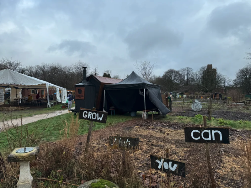 Hive Sauna 公園の中にサウナはある