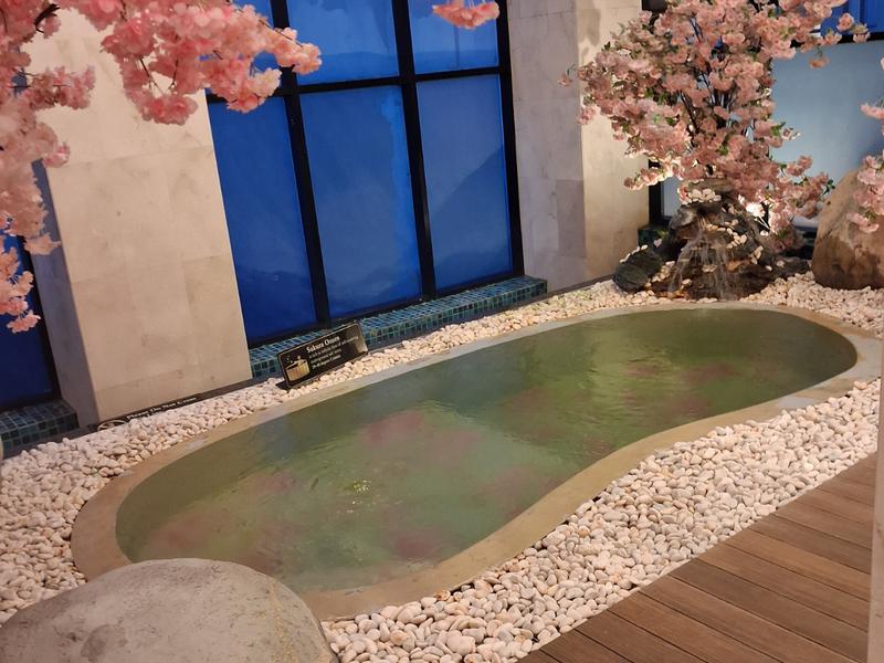 The Yanné, Onsen Hotel 温泉浴槽