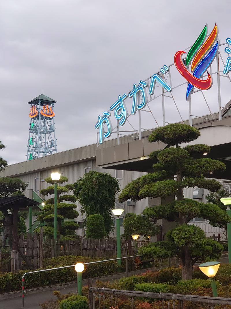 ダグさんの南柏天然温泉すみれのサ活写真