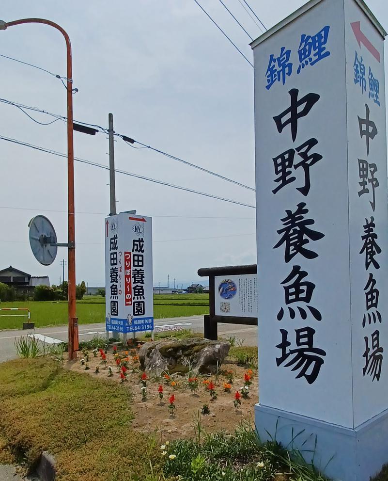 しょう1188さんの光明石温泉 福岡の湯のサ活写真