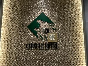 レオ癒カプセルホテル 西船橋店 写真