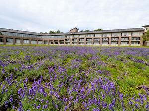 Furano Hotel 富良野ホテル 写真