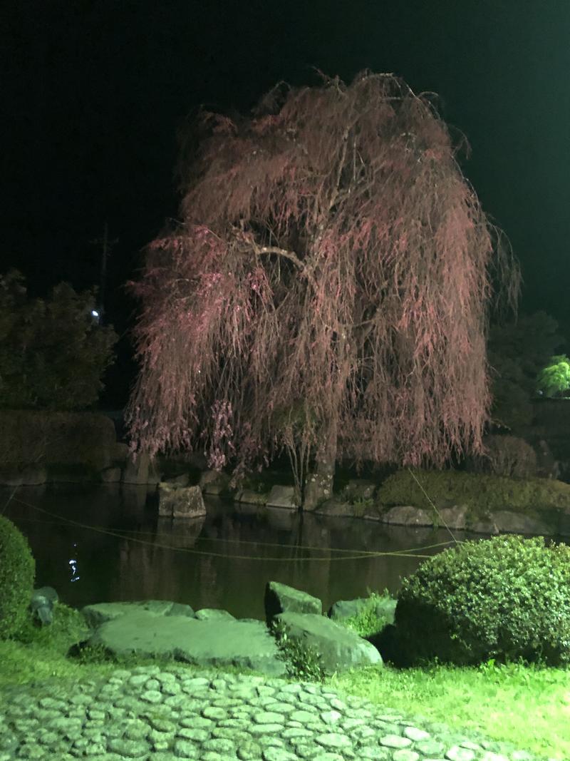 mooookoさんの奥平温泉 遊神館のサ活写真