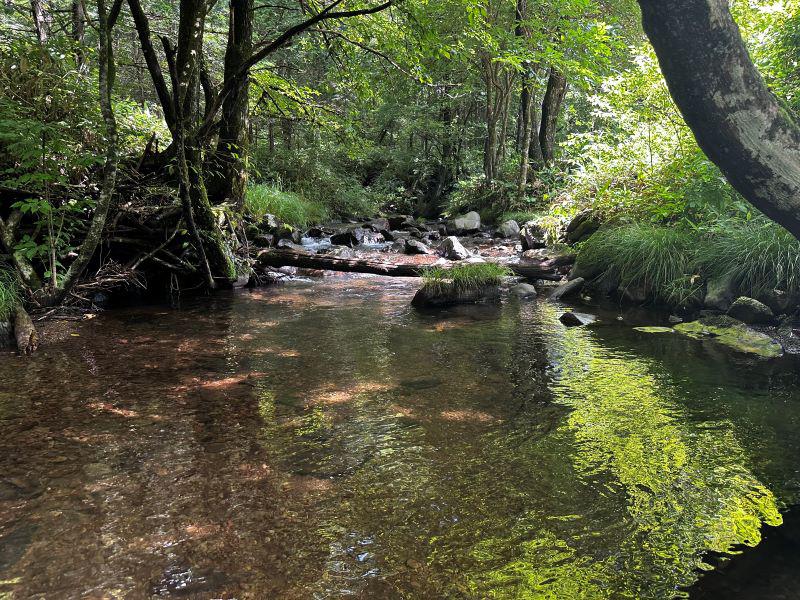 十二の杜オートキャンプ場 写真ギャラリー1