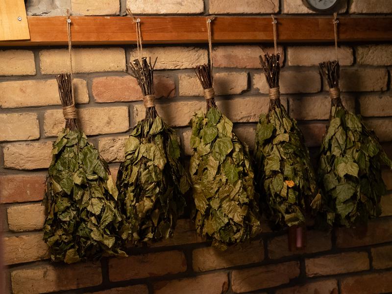 サウナ族 サウナ室ヴィヒダ