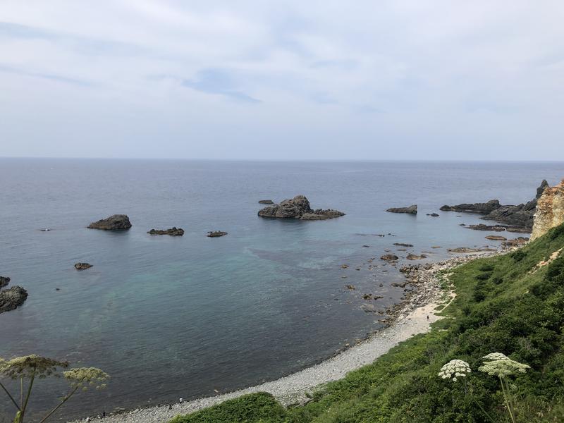 一休ニュートンさんの岬の湯 しゃこたんのサ活写真