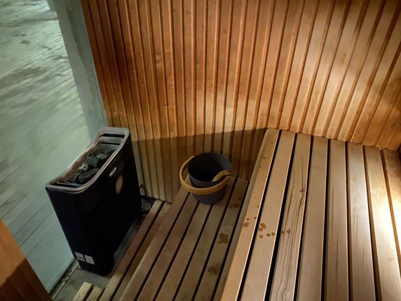 ION Adventure Hotel, Nesjavellir, a Member of Design Hotels サウナ室内