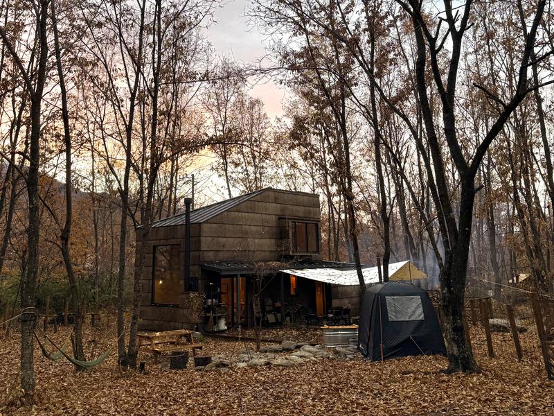 uto woods&cabin 秋の森