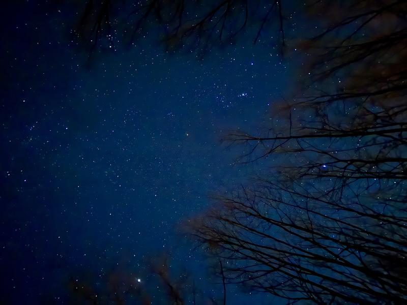 uto woods&cabin 星空が見えます