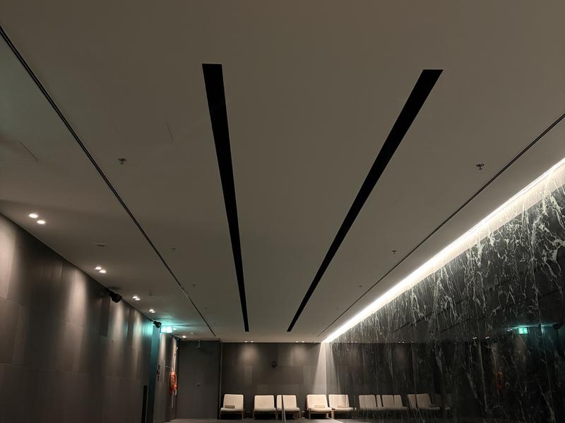 Dorothea Hotel, Budapest, Autograph Collection 水風呂代わりの隣のプール