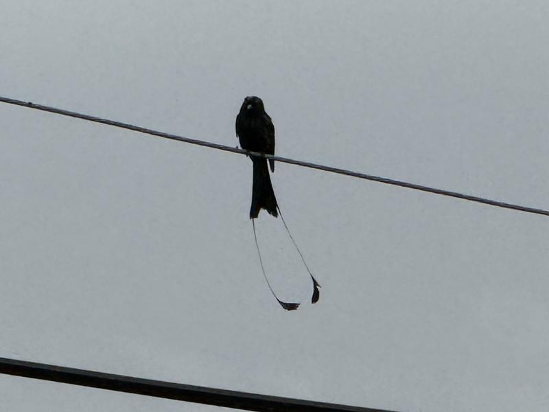 Dudka Bar ,Restaurant,Sauna iCE Bath 写真ギャラリー1