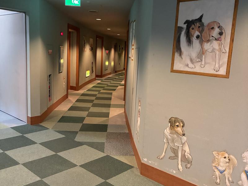 ほったらかしの宿 ゆうふり伊豆高原(旧:伊豆高原わんわんパラダイスコンドミニアム) 写真