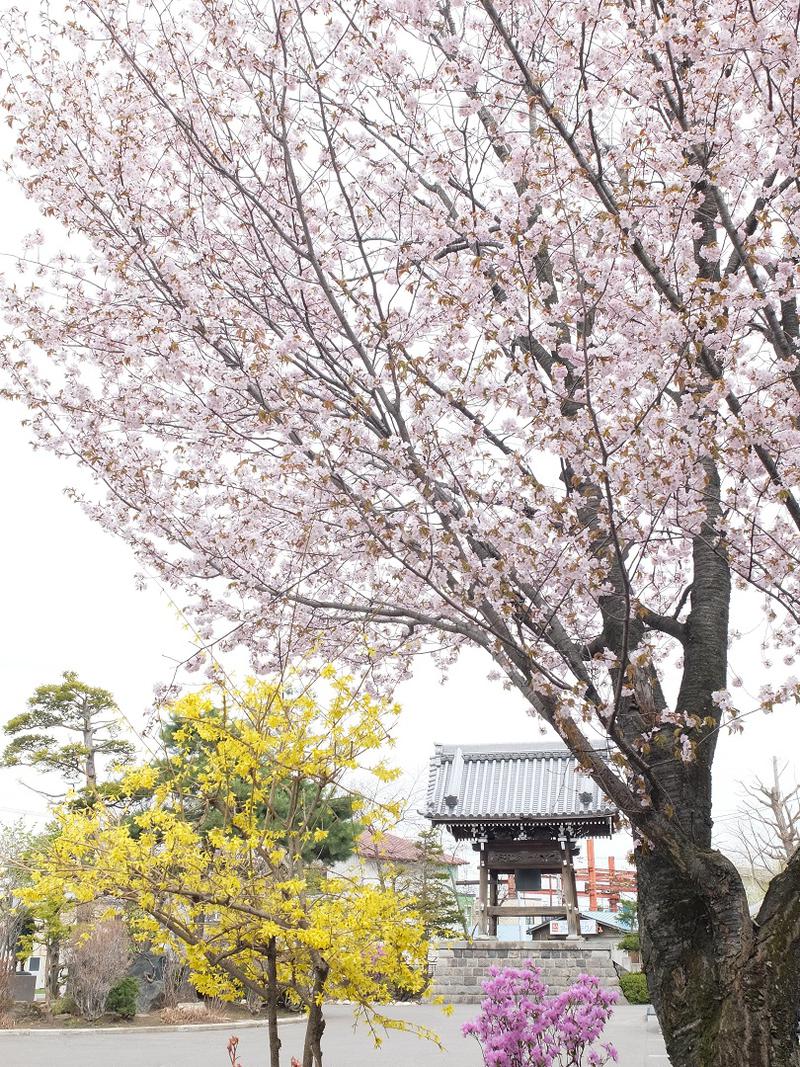 快特ういんでぃーさんの慶誠寺湯堂サウナ寺ス(サウナテラス)のサ活写真