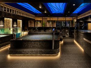 竜泉寺の湯 サウナメッツァ大井町トラックス 写真