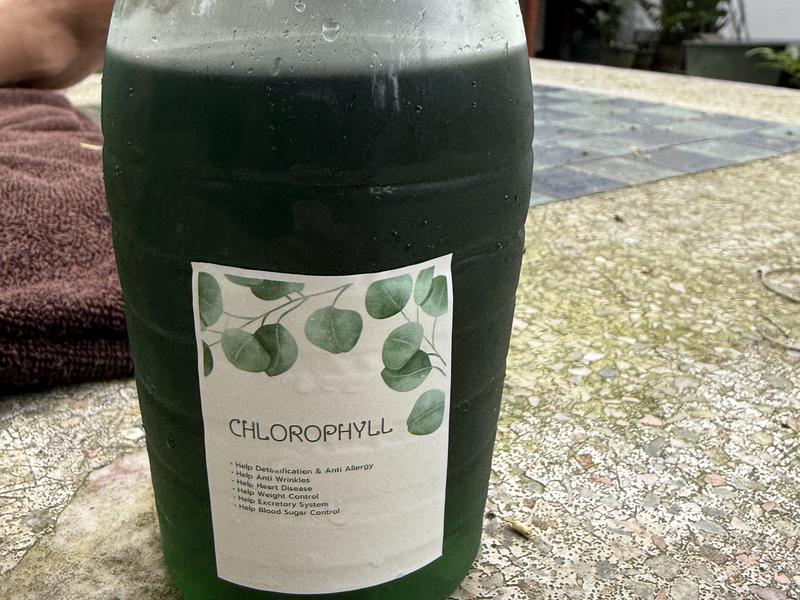 Wat Pho Steam sauna クロロフィルデトックスウォーター