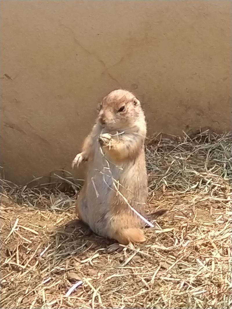 kentaroさんの日立市ホリゾンかみねのサ活写真