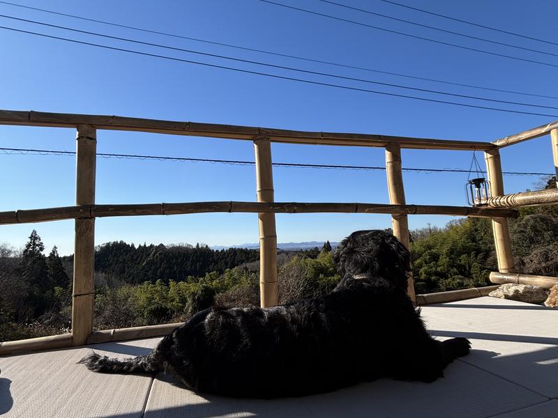 サウナ民泊こちや 外気浴