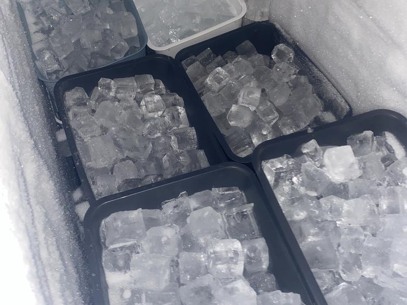 SAUNA GYM MISOGI 愛野店 氷入れ放題