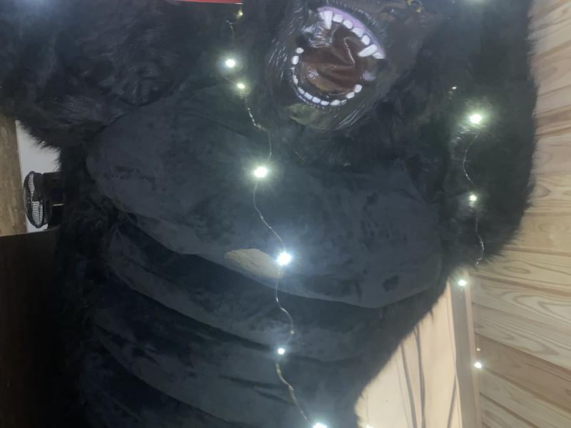 SAUNA GYM MISOGI 愛野店 人気のゴリラ