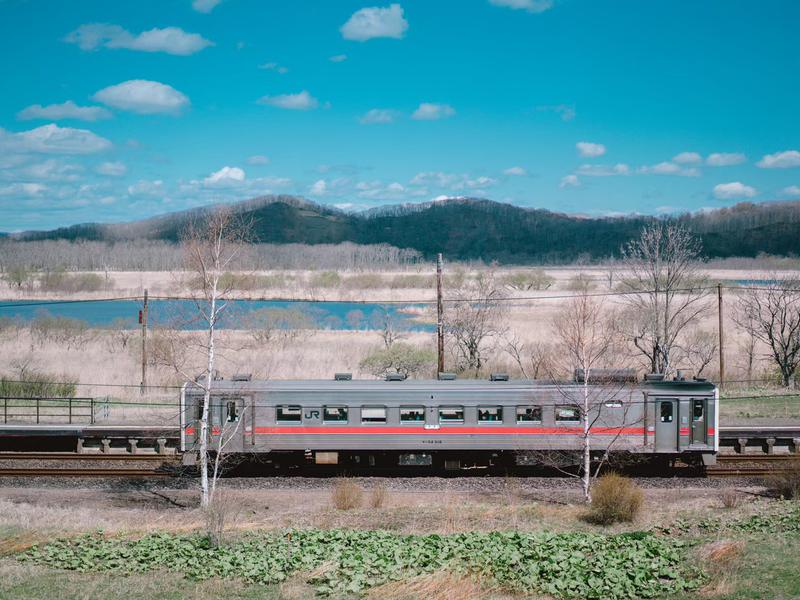 Kushiro Marshland Hostel THE GEEK 春(GW明け)の湿原と釧網線