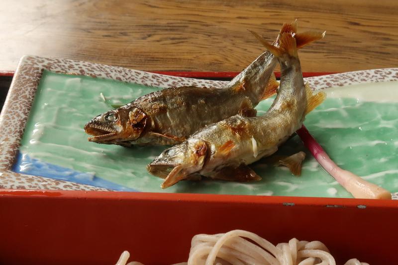 ぱかぱかさんのおまき温泉スパガーデン和園のサ活写真