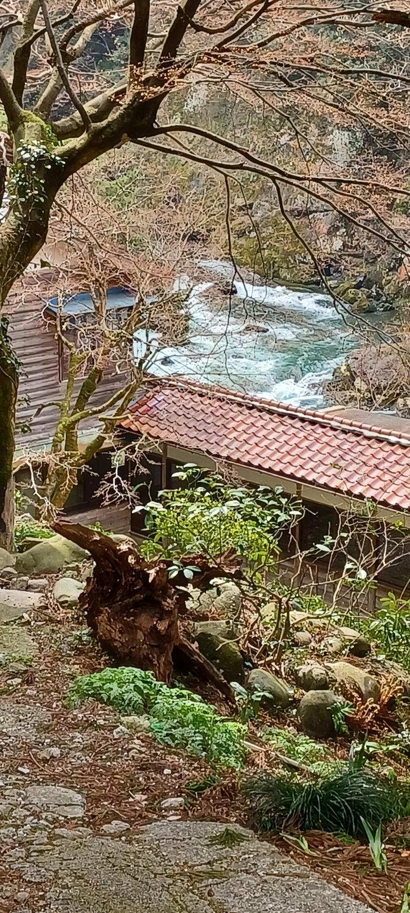 しょう1188さんのおまき温泉スパガーデン和園のサ活写真