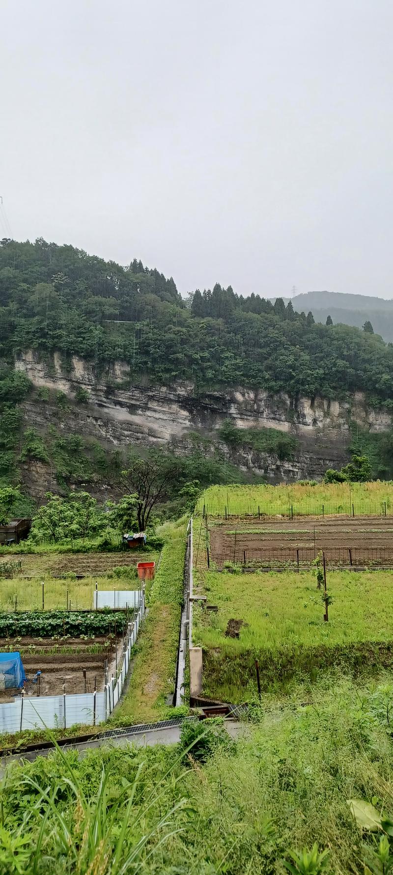 しょう1188さんのおまき温泉スパガーデン和園のサ活写真