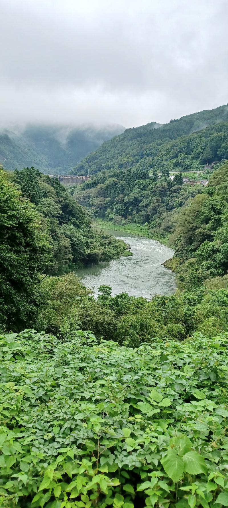 しょう1188さんのおまき温泉スパガーデン和園のサ活写真