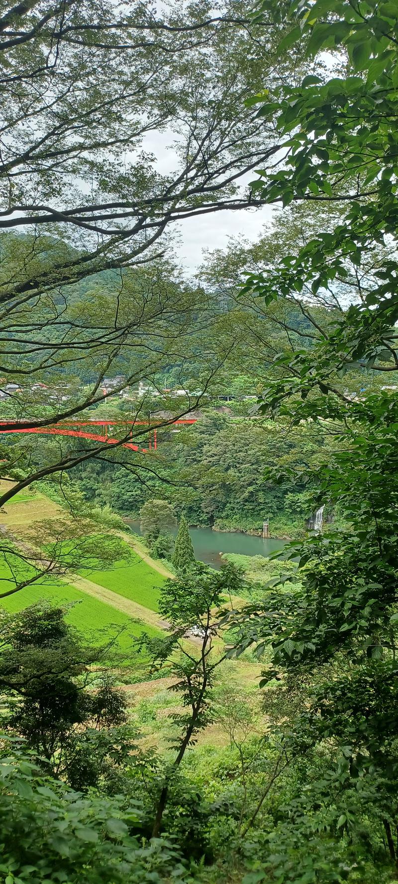 しょう1188さんのおまき温泉スパガーデン和園のサ活写真