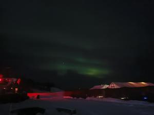 Arctic Duchess Adventures 写真