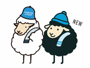 RETOLI 古町店 写真