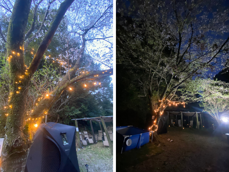 鷲沢サウナ ナイトサウナ