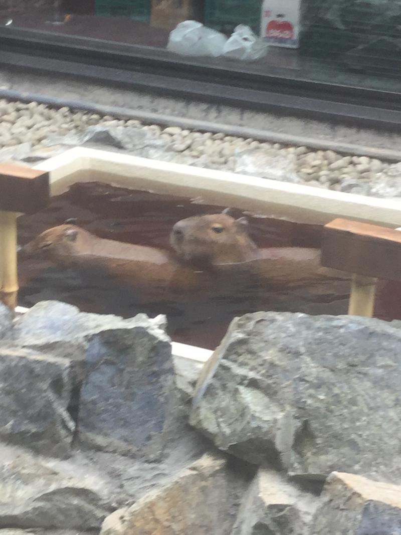 佐藤二博さんの石狩天然温泉 番屋の湯のサ活写真