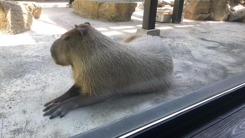 エミューさんの石狩天然温泉 番屋の湯のサ活写真