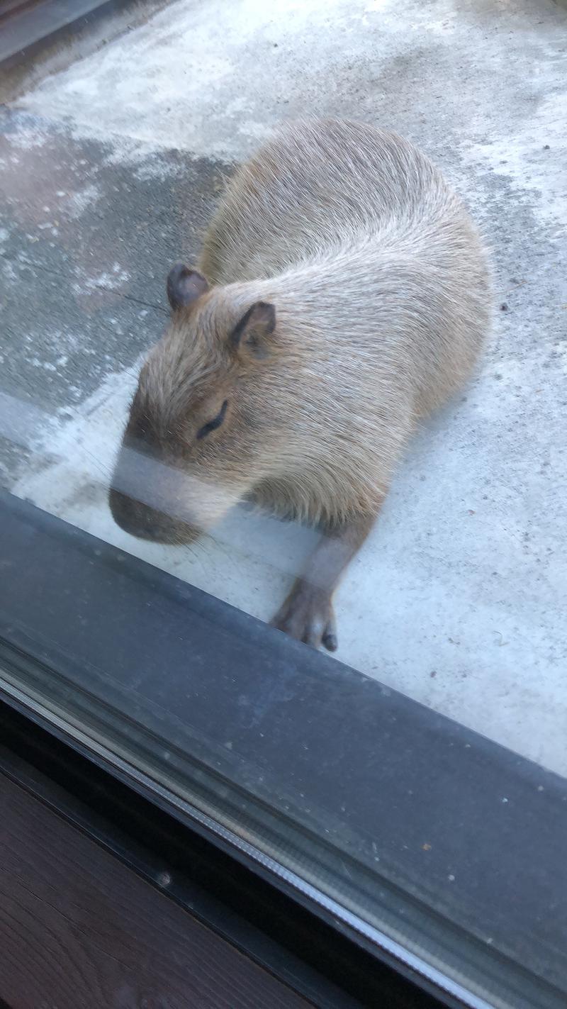 エミューさんの石狩天然温泉 番屋の湯のサ活写真