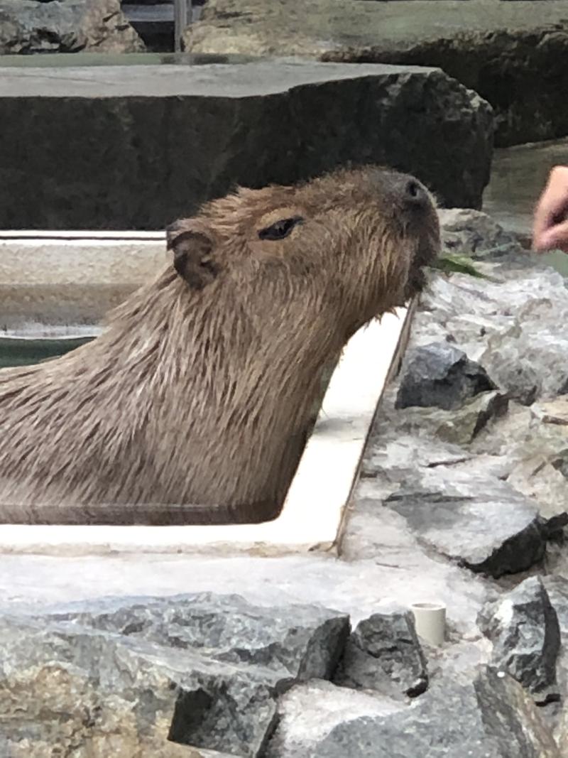 kazzcapy216さんの石狩天然温泉 番屋の湯のサ活写真