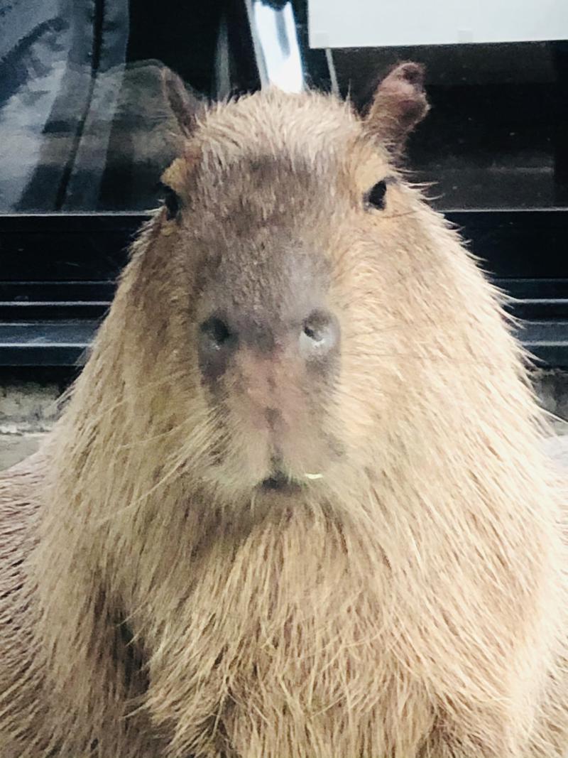 kazzcapy216さんの石狩天然温泉 番屋の湯のサ活写真