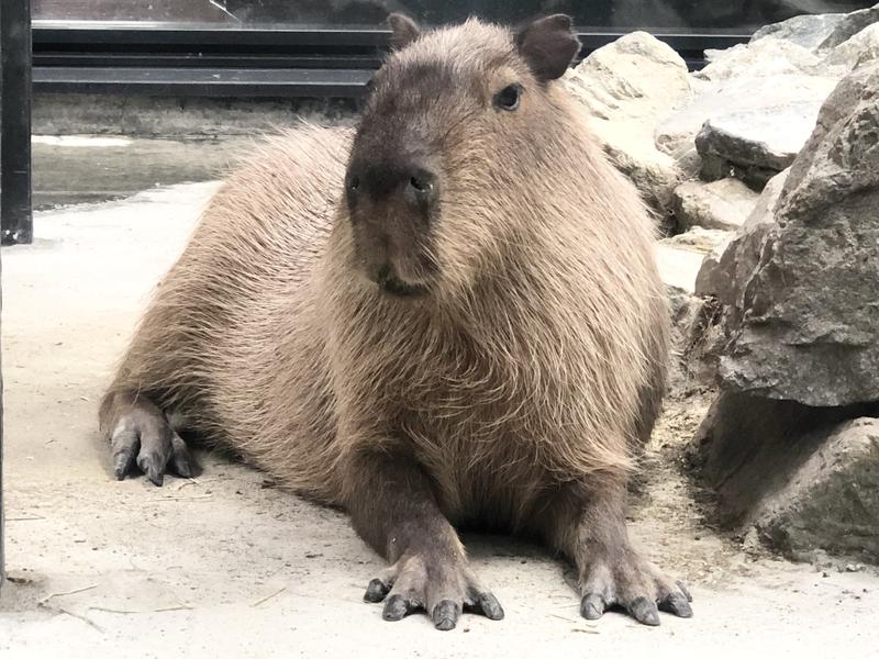 kazzcapy216さんの石狩天然温泉 番屋の湯のサ活写真