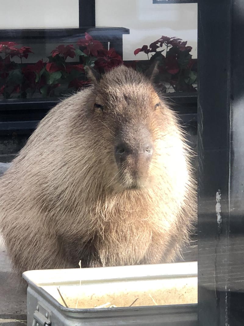 kazzcapy216さんの石狩天然温泉 番屋の湯のサ活写真