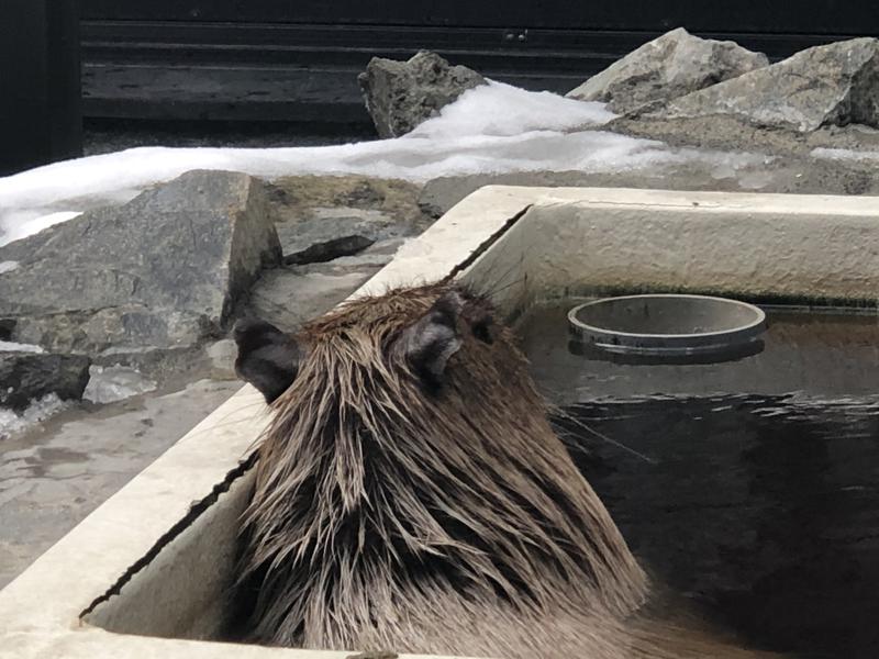 kazzcapy216さんの石狩天然温泉 番屋の湯のサ活写真