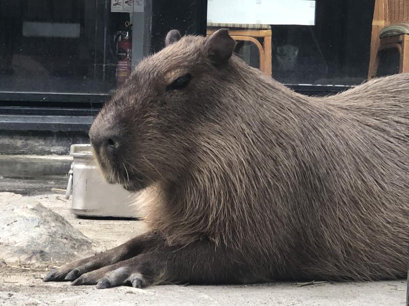 kazzcapy216さんの石狩天然温泉 番屋の湯のサ活写真