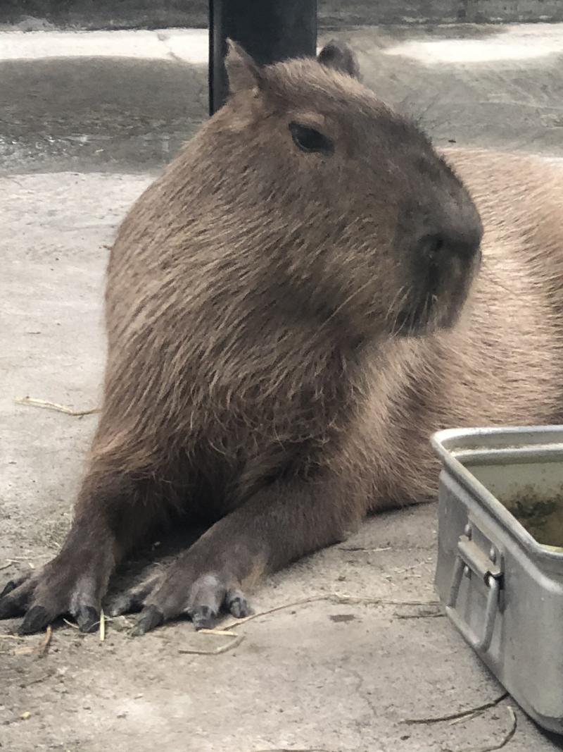 kazzcapy216さんの石狩天然温泉 番屋の湯のサ活写真