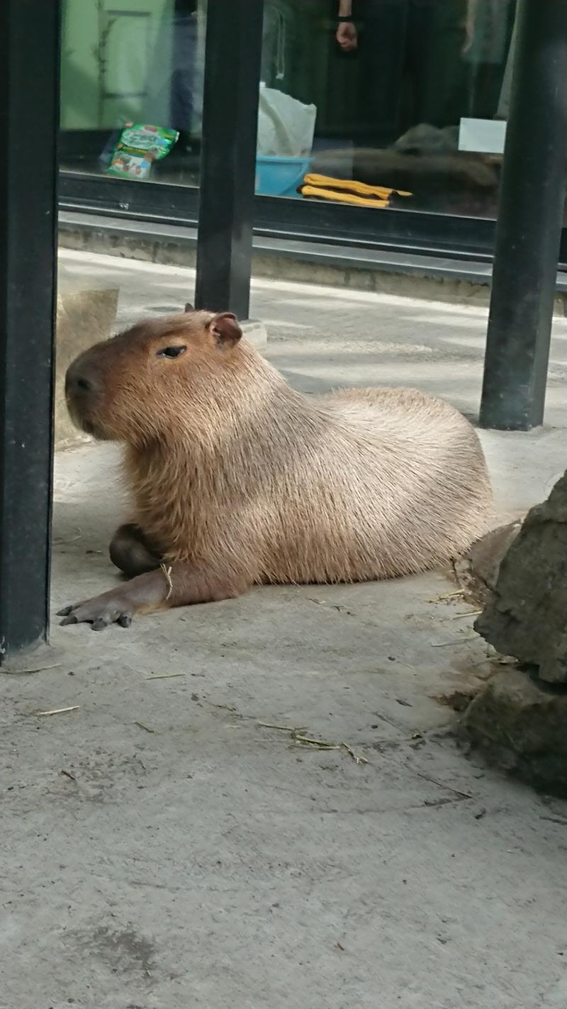 さしすさんの石狩天然温泉 番屋の湯のサ活写真