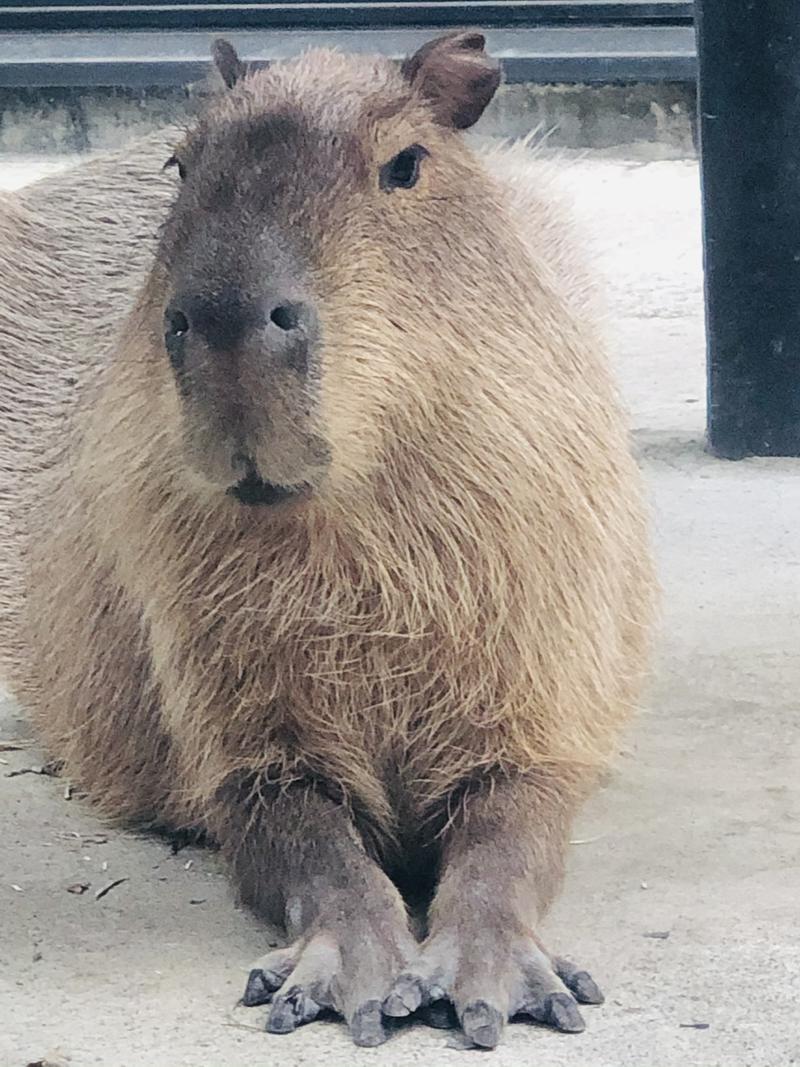 kazzcapy216さんの石狩天然温泉 番屋の湯のサ活写真