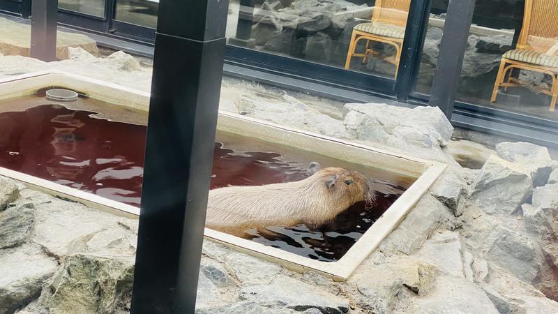 しー🤫さんの石狩天然温泉 番屋の湯のサ活写真