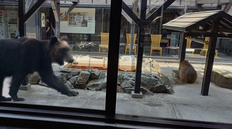 🔥あちちシャンプー🔥さんの石狩天然温泉 番屋の湯のサ活写真